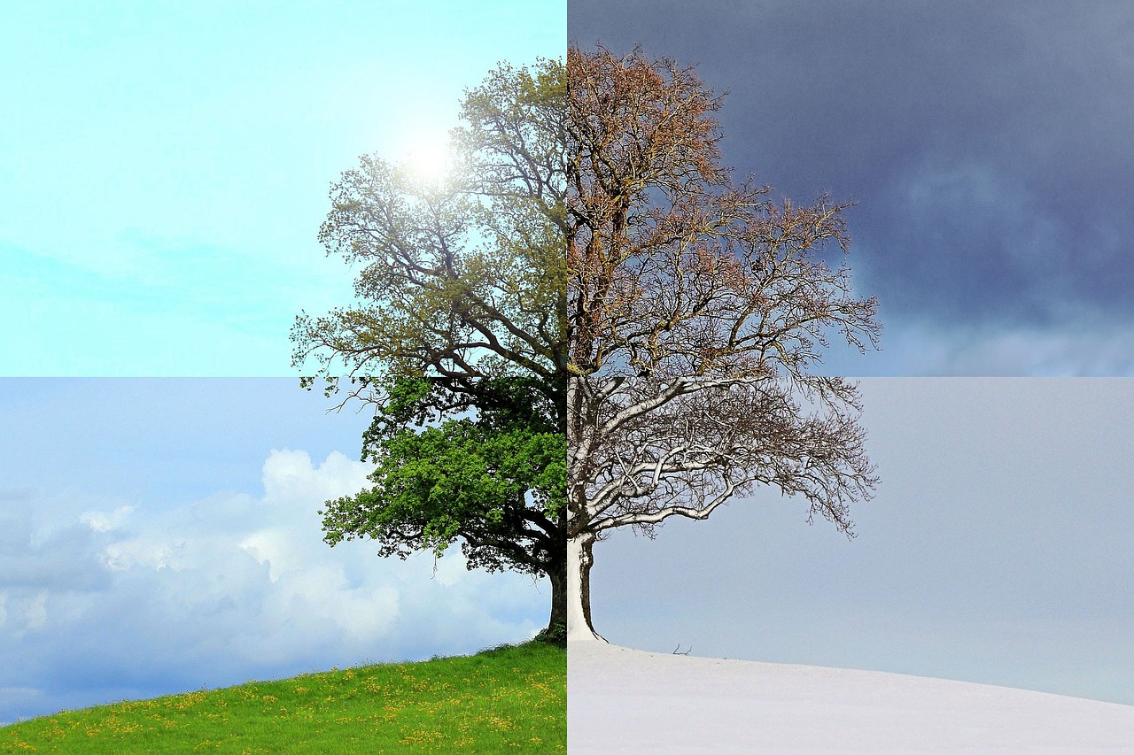 Die besten Sportarten für den Sommer und den Winter: Eine umfassende Auswahl für jedes Wetter